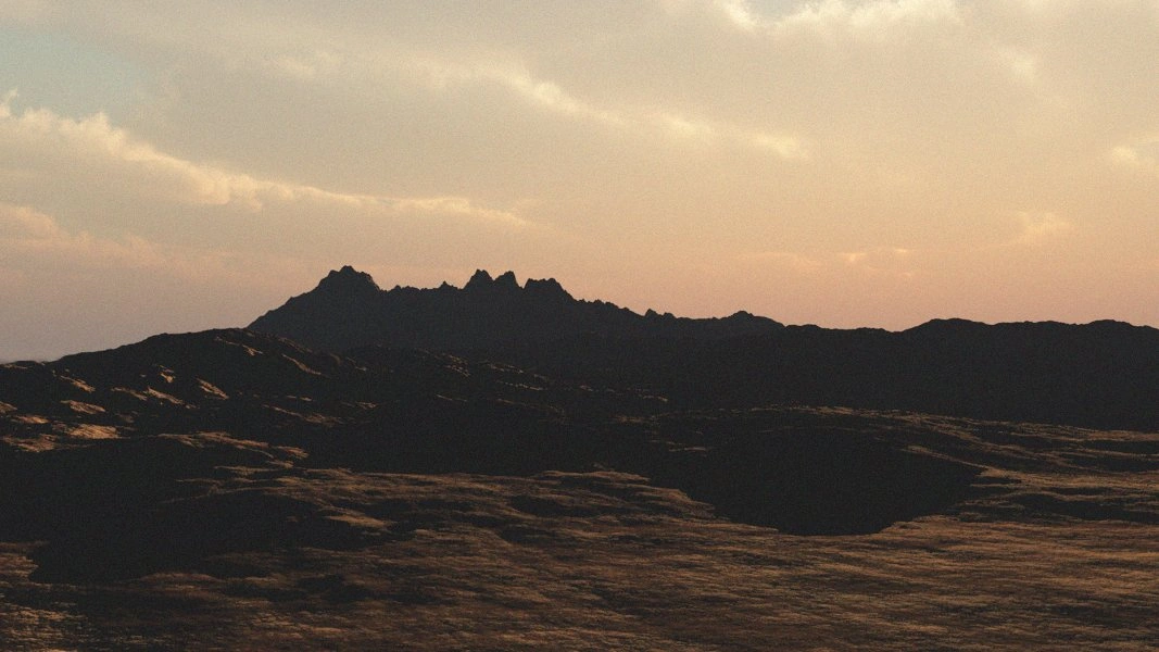 Androgeus surface view