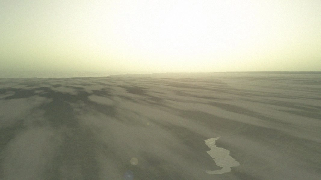 Calypsus surface view