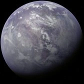 Coyote orbital view