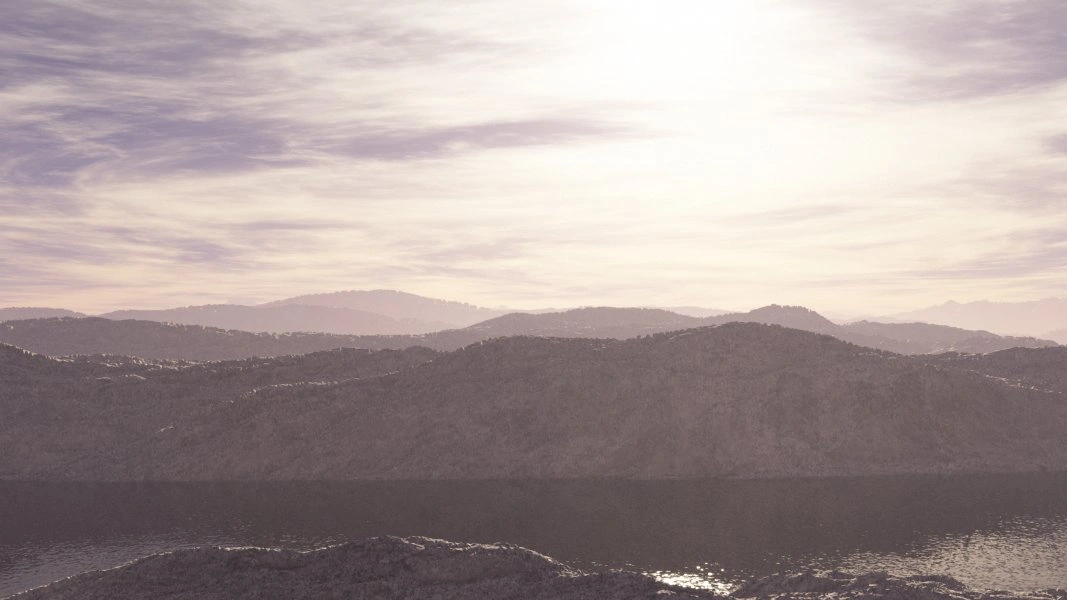 Coyote surface view