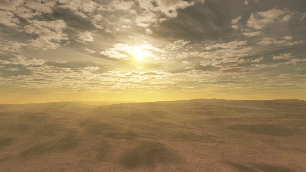 Cynthiana surface view