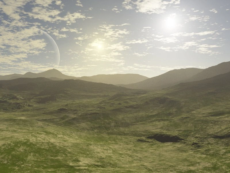Daliasunta surface view
