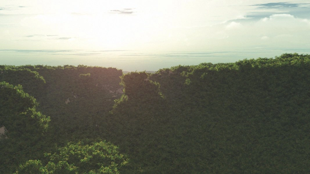 Devonshire surface view