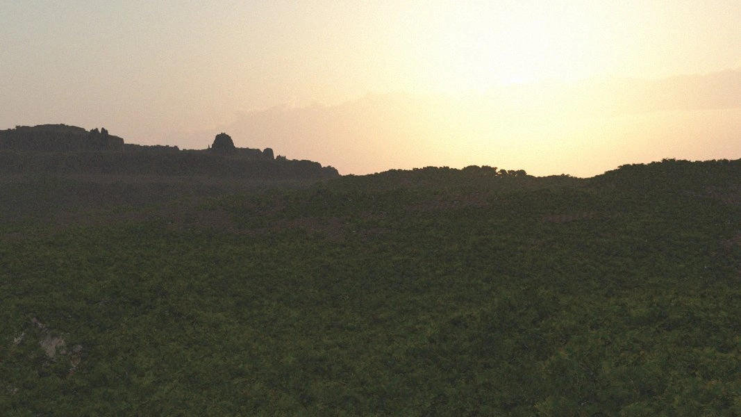 Libertalia surface view