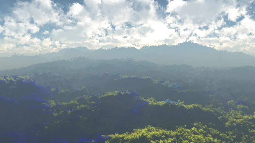 Magikus surface view