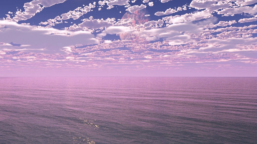 Meditrina surface view