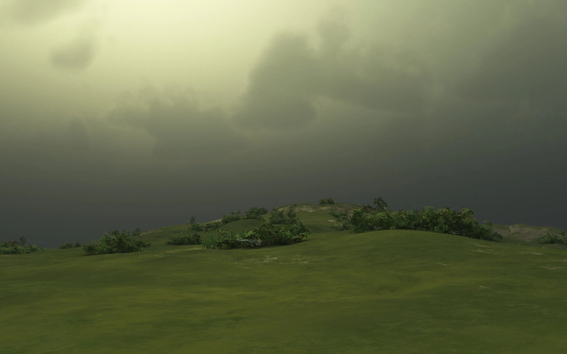 Meredith surface view