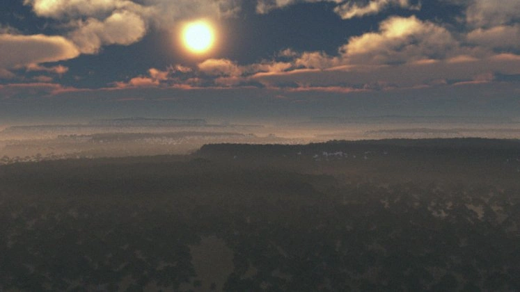 Nea surface view