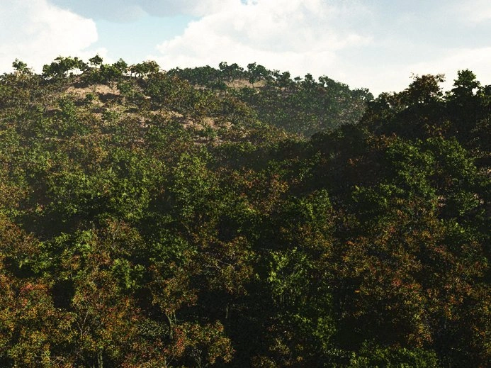 Parrish surface view