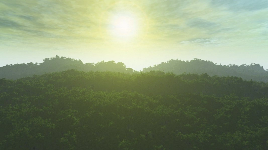 Rayne surface view