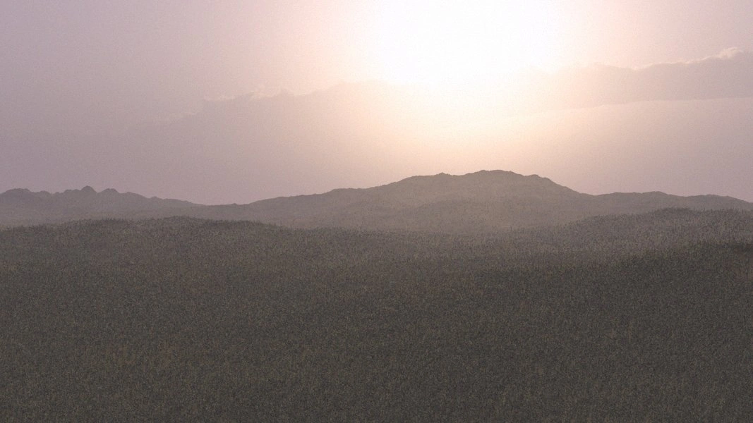 Sasern surface view
