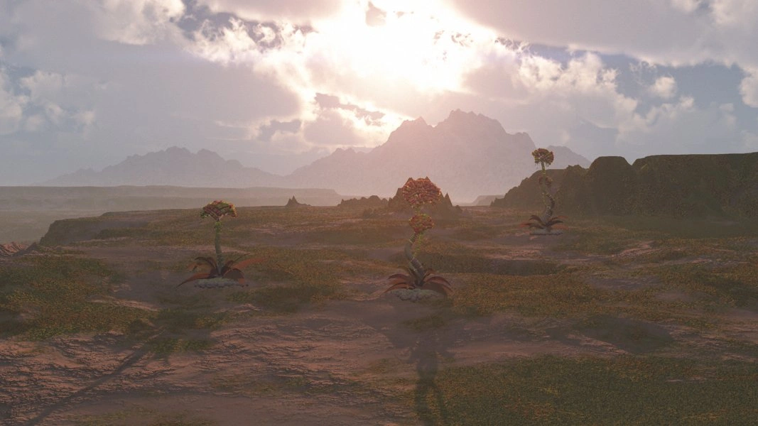 Vairgin surface view