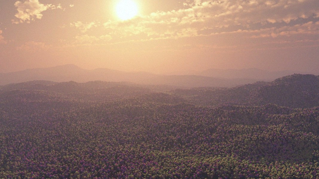 Vestavia surface view
