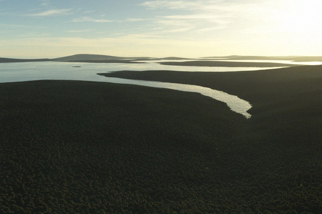 Wasquito surface view