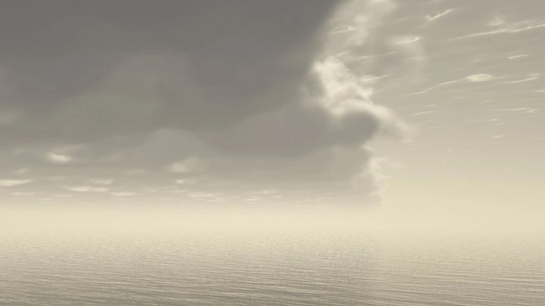 Wildstorm surface view