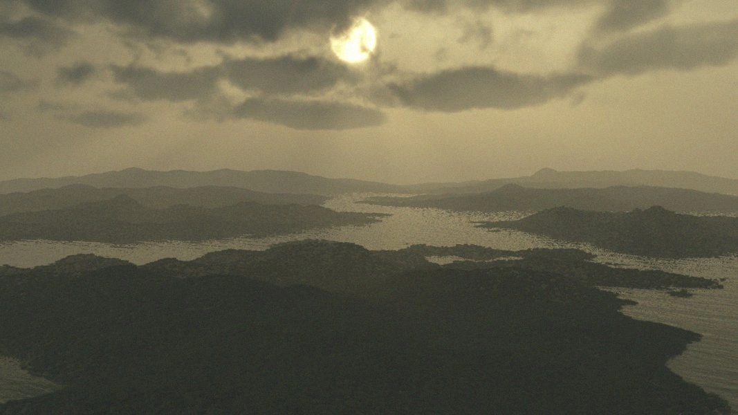 Wistaria surface view